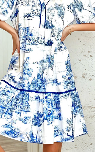 Tea Party Blue Toile Dress