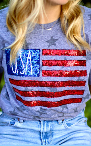 American Flag Sequin Patriotic Tee, SM-2X