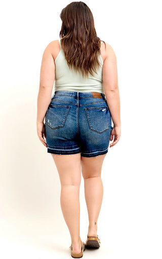 Perfect Pair Denim Shorts by Judy Blue