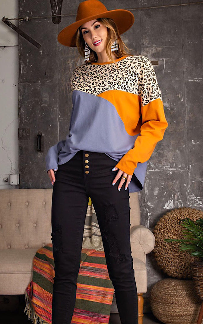 Easy To Love Leopard Print Colorblock Top